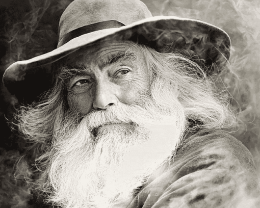 Black and White Walt Whitman Diamond Painting