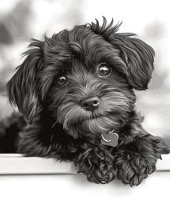 Black and White Yorkiepoo Puppy Diamond Painting