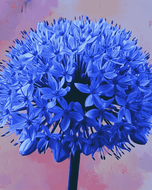 Blue Allium Blossoms Diamond Painting