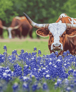 Bluebonnets and Longhorns Diamond Painting