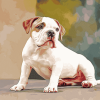 Bulldog Puppy Portraits Diamond Painting