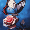 Butterfly on Rose Diamond Painting