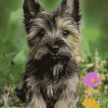 Cairn Terrier Puppy Diamond Painting