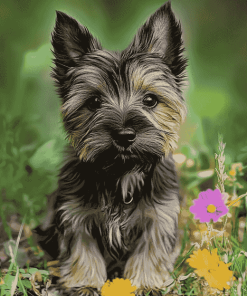 Cairn Terrier Puppy Diamond Painting