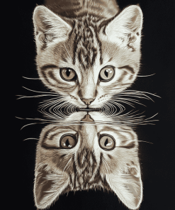 Cat and Kitten Reflection Diamond Painting