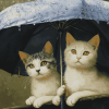 Cats and Kittens Under Umbrella Diamond Painting