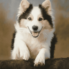 Charming Iceland Sheepdog Diamond Painting