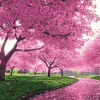 Cherry Blossom Japan Diamond Painting