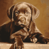 Chocolate Labrador Puppy Diamond Painting