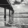 Clearwater Beach Black And White Diamond Painting