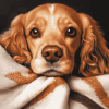 Cocker Spaniel Puppy Diamond Painting