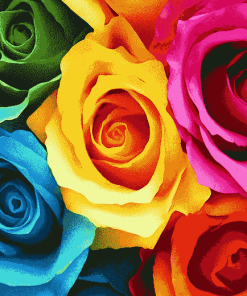 Colorful Rose Blossoms Diamond Painting