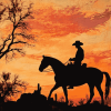 Cowboy Silhouette in Arizona Sunset Diamond Painting