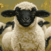 Cute Blacknose Sheep Diamond Painting