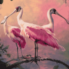 Cute Roseate Spoonbill Bird Diamond Painting