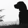 Dog Silhouette Black and White Diamond Painting