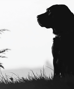 Dog Silhouette Black and White Diamond Painting