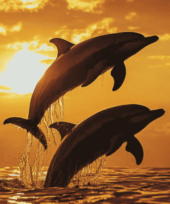 Dolphin Silhouette at Sunset Diamond Painting