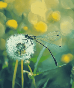 Dragonfly and Dandelion Diamond Painting