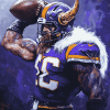 Elegant Minnesota Vikings Diamond Painting