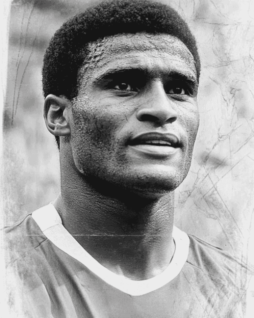 Eusebio Da Silva Football Legend Diamond Painting