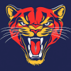 Florida Panthers Ice Hockey Diamond Painting