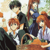 Fruit Basket Manga Anime Diamond Painting