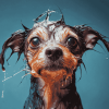 Funny Wet Puppy Diamond Painting