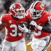 Georgia Bulldogs Football Stars Diamond Painting