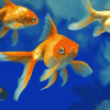 Gold Carp Fish Diamond Painting