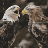 Golden Eagle Birds Diamond Painting