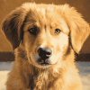 Golden Shepherd Puppies Diamond Painting