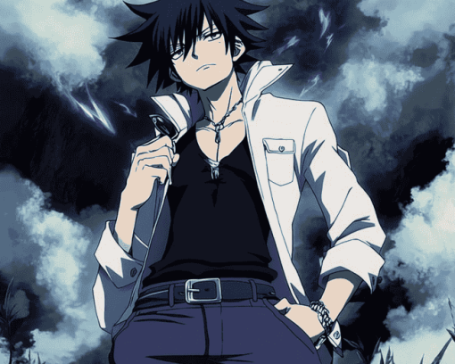 Gray Fullbuster Anime Diamond Painting