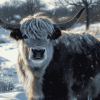 Grey Majestic Yak Diamond Painting