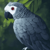 Grey Parrot Bird Diamond Painting