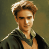 Harry Potter's Cedric Diggory Diamond Painting