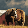 Horse Barn Landscape Diamond Painting