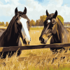 Horse Farm Scene Diamond Painting