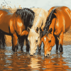 Horses Drinking Animal Art Diamond Painting