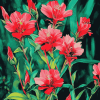 Indian Paintbrush Blossoms Diamond Painting