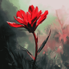 Indian Paintbrush Blossoms Diamond Painting