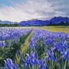 Iris Landscapes of Ireland Diamond Painting