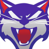 Kansas Wildcats Sports Logo Diamond Painting