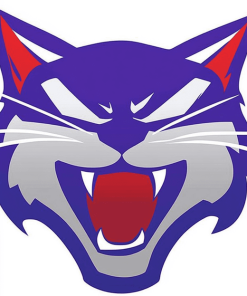 Kansas Wildcats Sports Logo Diamond Painting