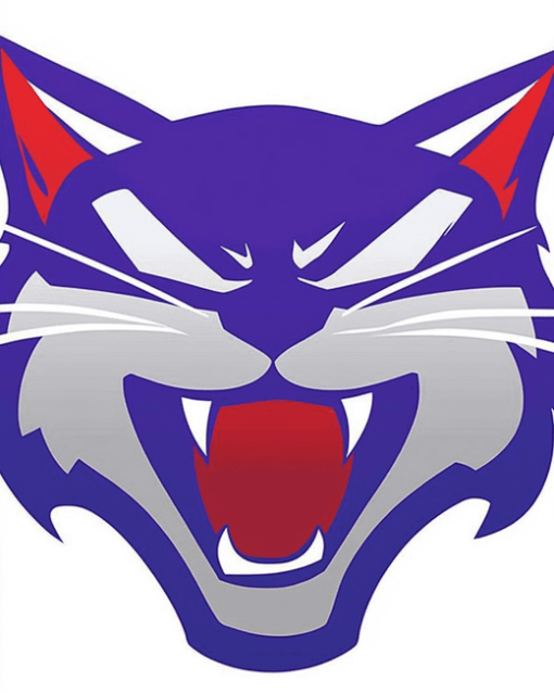 Kansas Wildcats Sports Logo Diamond Painting