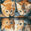 Kittens Water Reflection Diamond Painting