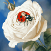 Ladybug and White Rose Diamond Painting