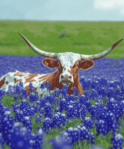 Longhorn and Bluebonnets Diamond Painting