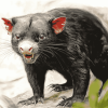 Majestic Tasmanian Devil Diamond Painting