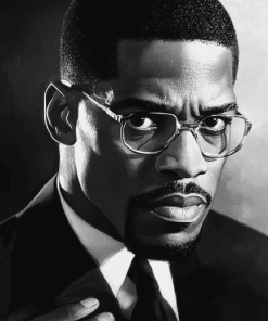 Malcolm X Black And White Diamond Painting